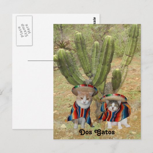 ドス・ガトス ポストカード (正面/裏面)