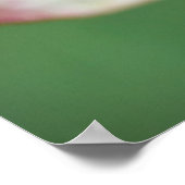 ドッウッドの花 | Cornus Kousa '恋しく思 Satomi' ポスター (角)