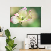 ドッウッドの花 | Cornus Kousa '恋しく思 Satomi' ポスター (ホームオフィス)