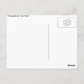 ドックブラウンRd ポストカード (裏面)