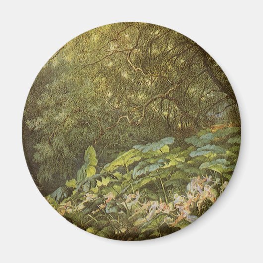 『ドックリーフの下で』（ドックリーフのしたで、原題：Under the Dock Leaves）-  マグネット (正面)