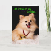 ドッグおもしろいからのクリスマスカード シーズンカード (正面)