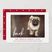 ドッグおもしろいからのクリスマスフォトカード | レッド シーズンカード (正面/裏面)