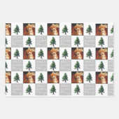 ドッグすてきメリーペットフォトツリー雪クリスマス ラッピングペーパーシート (正面)