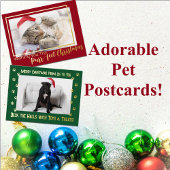 ドッグのおもちゃとトリートメントでホールをデッキ2 Photo 箔シーズンポストカード