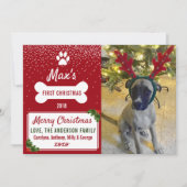 ドッグの初めてのクリスマスカスタムフォトホリデー シーズンカード (正面)