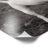 ドッグアググ フォトプリント            (角)