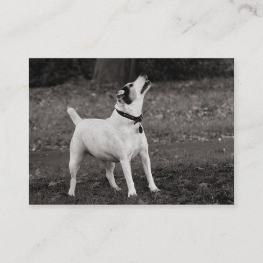 ドッグアググ 名刺 (正面)