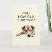 ドッグイヤーズ誕生日カード シーズンカード (正面)