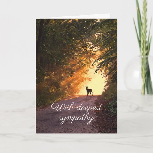 ドッグインサンセット悔やみや弔慰カード 招待状 (正面)