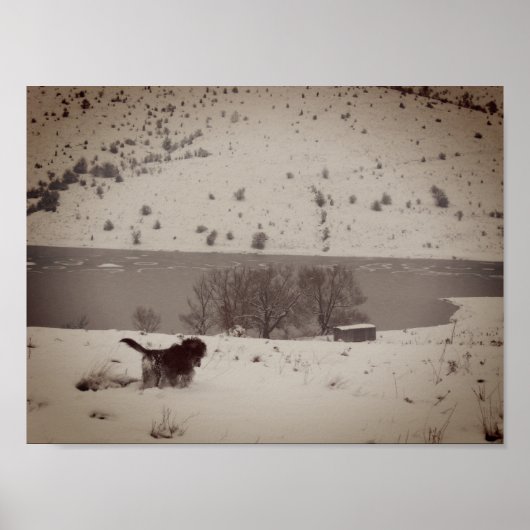 ドッグインザスノーバリューポスター紙 ポスター (正面)