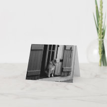 ドッグインドアのノートカード