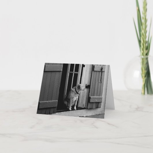 ドッグインドアのノートカード サンキューカード (正面)