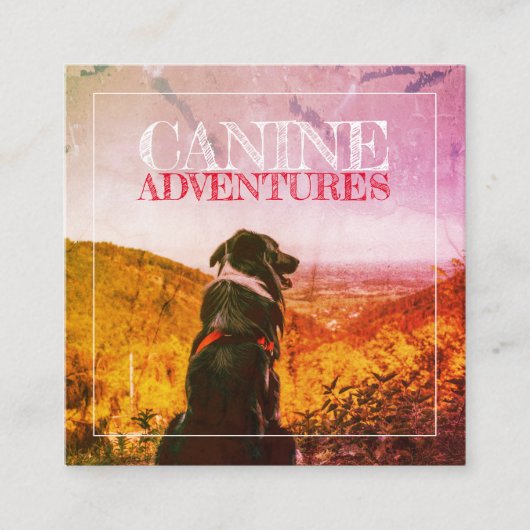 ドッグウォーカーと犬の冒険テクスチャードされたグロー スクエア名刺 (正面)
