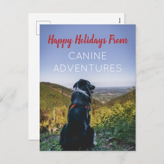 ドッグウォーカーペットケアホリデーグリーティングカード シーズンポストカード (正面/裏面)