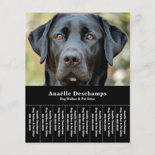 ドッグウォーカーペットシッター写真ティアオフストリップフライヤー チラシ (正面)