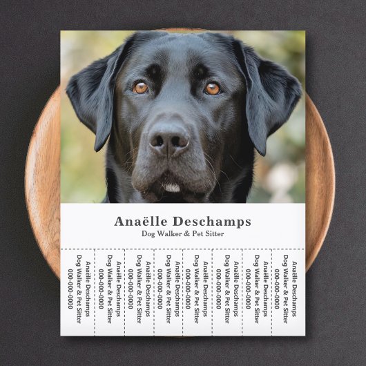 ドッグウォーカーペットシッター写真ティアオフストリップフライヤー チラシ