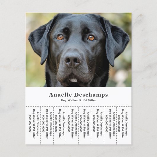 ドッグウォーカーペットシッター写真ティアオフストリップフライヤー チラシ (正面)