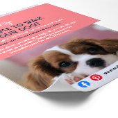 ドッグウォーカーペット着座ペットサービスグルーミングチラシ ポスター (角)