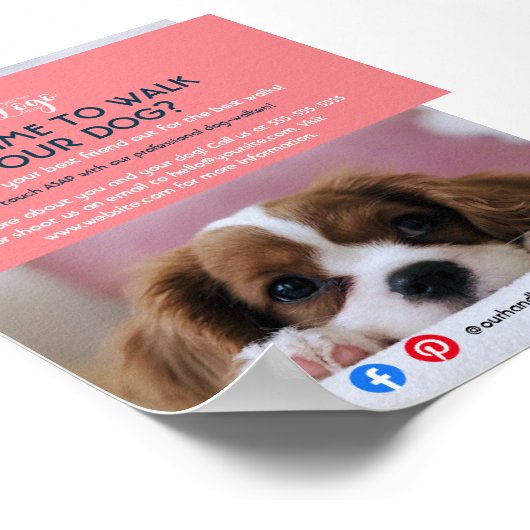 ドッグウォーカーペット着座ペットサービスグルーミングチラシ ポスター (角)