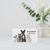 ドッグウォーカー動物気に獣医ペット座り 名刺 (スタンド正面)