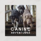 ドッグウォーカー&ドッグアドベンチャースクエアビジネスカード スクエア名刺 (正面)