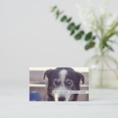 ドッグウォーカー 名刺 (スタンド正面)