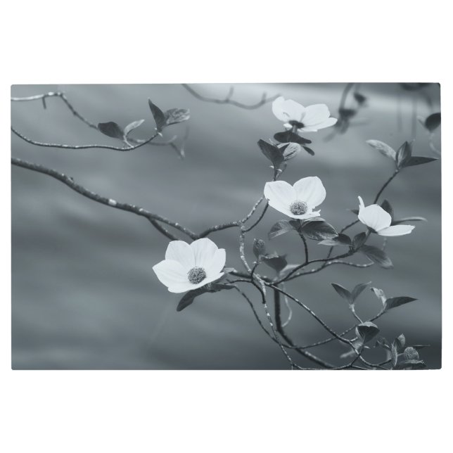 ドッグウッズ メタルプリント (正面)