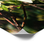 ドッグウッドが咲き…... ポスター (角)