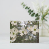 ドッグウッドの葉書 ポストカード (スタンド正面)