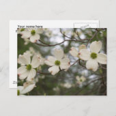 ドッグウッドの葉書 ポストカード (正面/裏面)