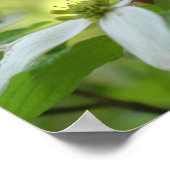 ドッグウッドウィズゴバイブル引用文 感動的 ポスター (角)