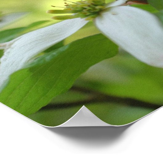 ドッグウッドウィズゴバイブル引用文 感動的 ポスター (角)