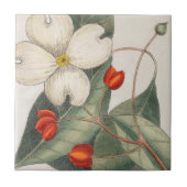 ドッグウッドツリーフラワーイラストレーション🌼ヴィンテージ タイル (正面)
