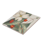 ドッグウッドツリーフラワーイラストレーション🌼ヴィンテージ タイル (側面)