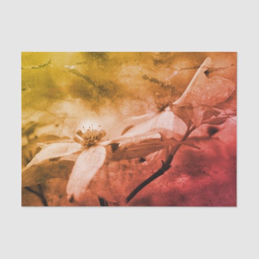 ドッグウッドフラワー白黒ヴィンテージデコパージュ 薄葉紙 (正面)