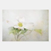 ドッグウッドフローラアートデクページ紙 ラッピングペーパーシート (正面2)