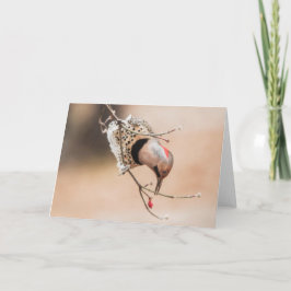 ドッグウッドベリーブレックファースト カード