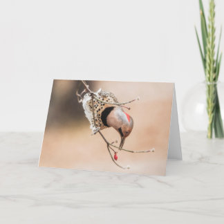 ドッグウッドベリーブレックファースト カード