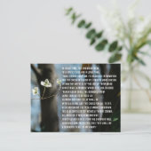 ドッグウッド伝説 ポストカード (スタンド正面)