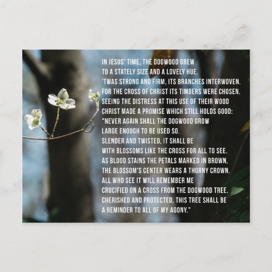 ドッグウッド伝説 ポストカード (正面)