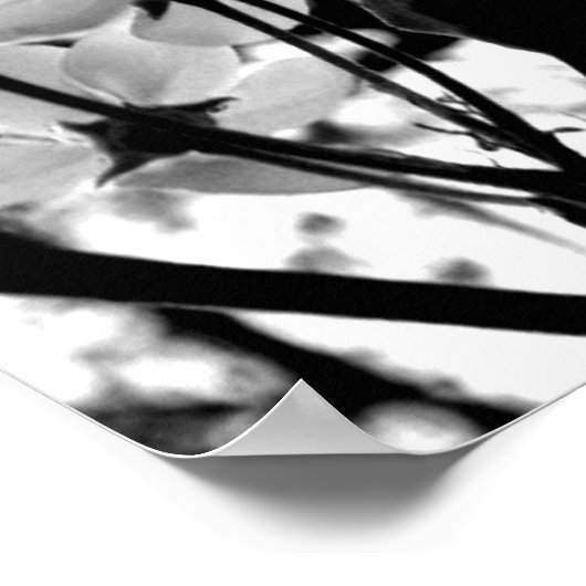 ドッグウッド日 ポスター (角)