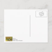 ドッグウッド・クリークの穏やかな風景 感謝の気持ちを伝えるポストカード ポストカード (裏面)