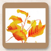 ドッグウ葉ッドコースター コースター (正面)