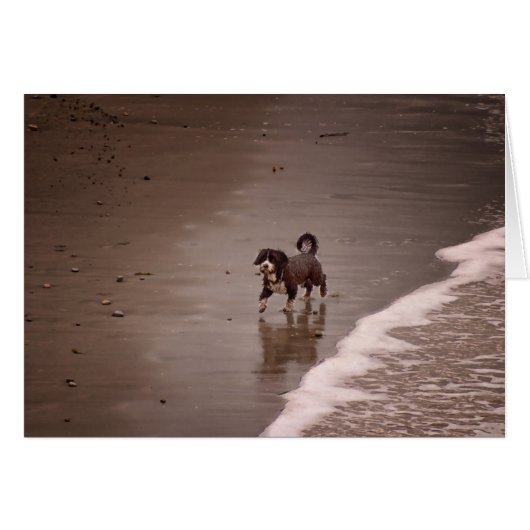 ドッグオンザビーチセピア空白のトン (正面横)