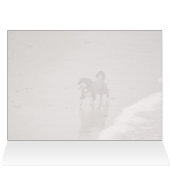 ドッグオンザビーチセピア空白のトン (内部横(上))