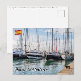 ドッグオンパセオマリティモ – パルマデマヨルカ ポストカード