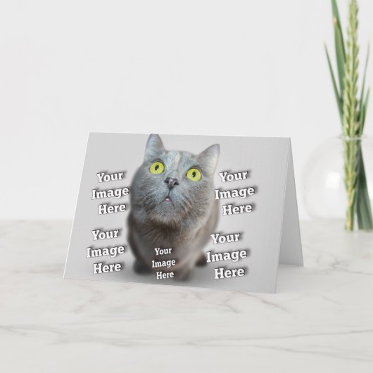 ドッグキャットバードファブの素晴らしい写真 カード (正面)