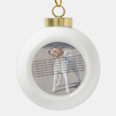 ドッグキャットバードファブの素晴らしい写真 セラミックボールオーナメント (正面)