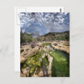 ドッグキャンベルズホールフラッツバートンクリークオースティンテキサ ポストカード (正面/裏面)